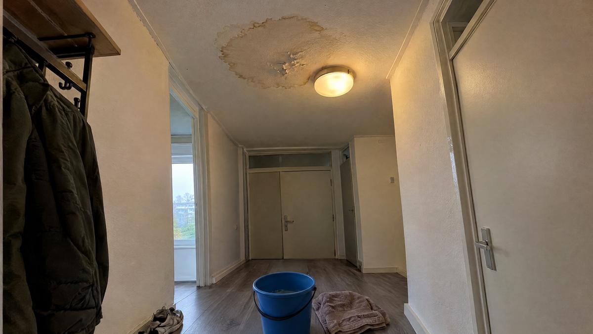 Waterschade aan het plafond van een appartement met een emmer eronder